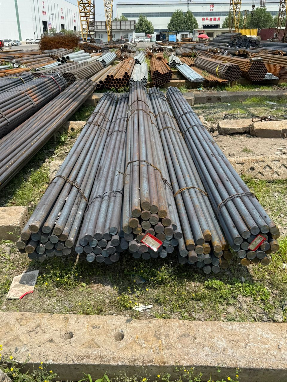 WhatsApp Image 2025-07-30 at 11.25.14 AM (1)